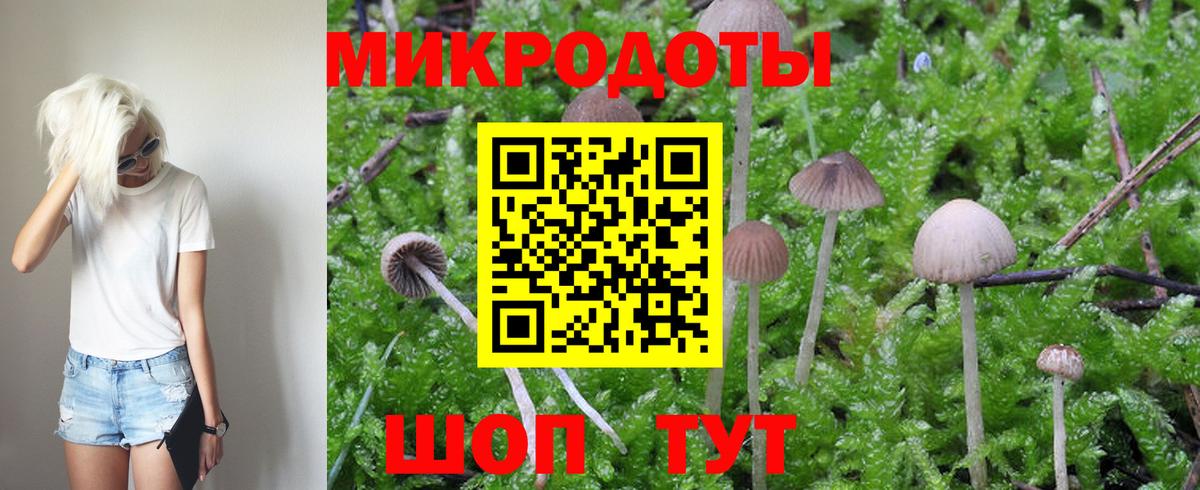 наркота  Вход с VPN  Котельники  Псилоцибиновые грибы GOLDEN TEACHER 